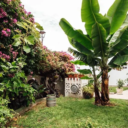 Holiday home Casa Tulipanes &