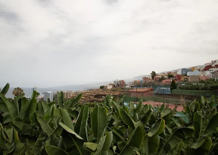 Casa Tulipanes & Santa Cruz de Tenerife